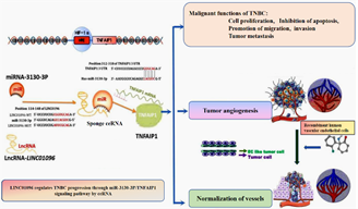 图示

描述已自动生成