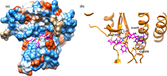 Figure 2 rdxw
