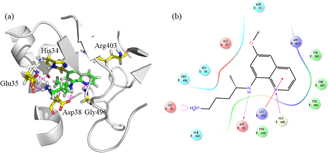 Figure 3 interaction